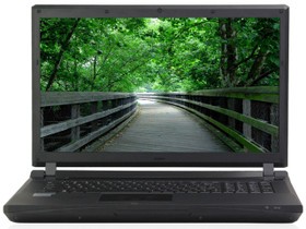 Lenovo G710AT-ISE(H)